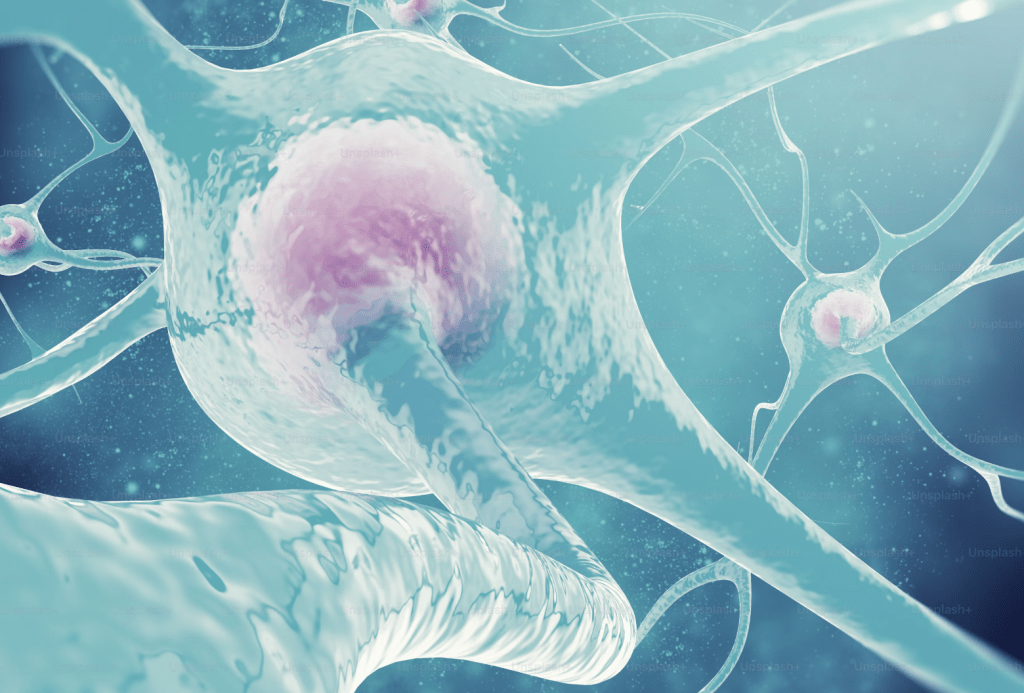 Une faible progestérone cause-t-elle la chute de cheveux&nbsp;?