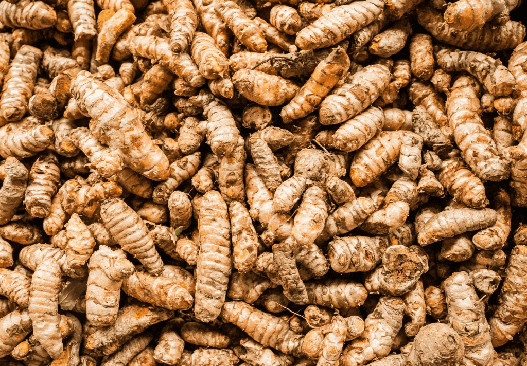 Curcuma et perte de cheveux : études et applications&nbsp;pratiques