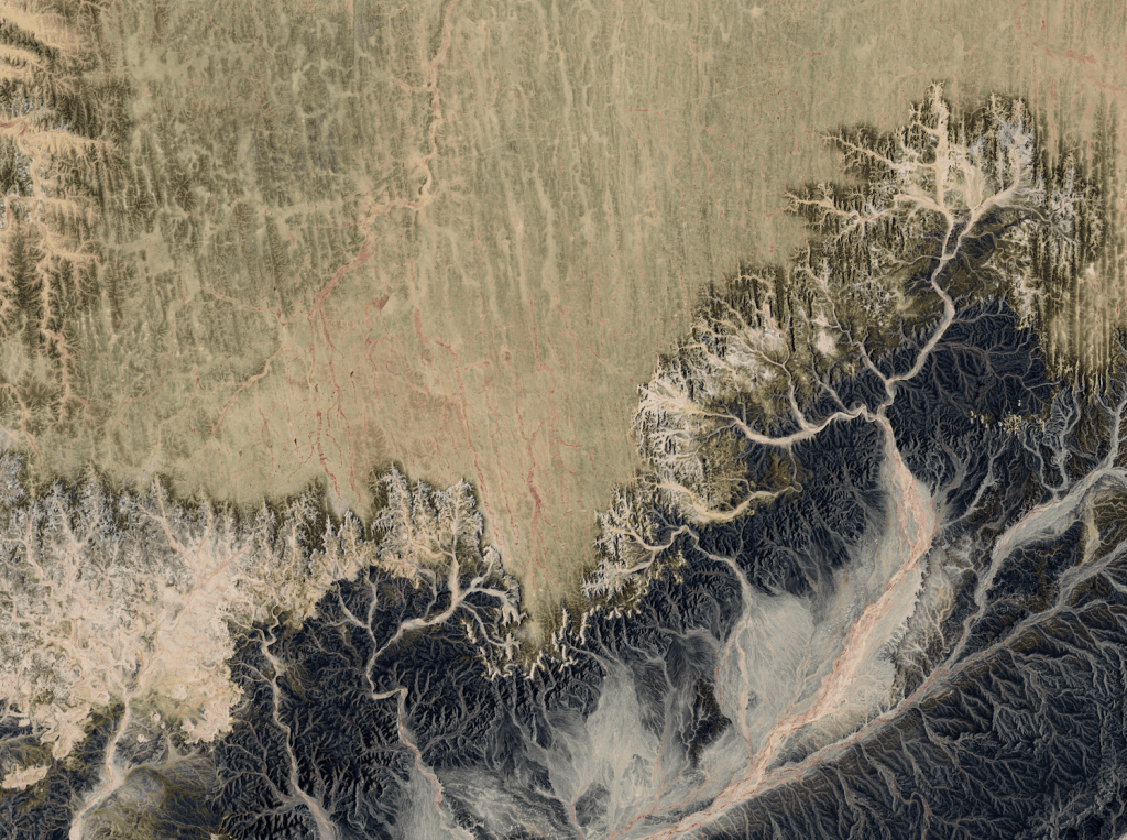 Calcification du cuir chevelu : causes, impacts et&nbsp;solutions