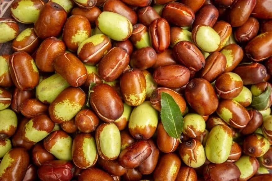 Les bienfaits de l&rsquo;huile de jojoba pour la croissance des&nbsp;cheveux